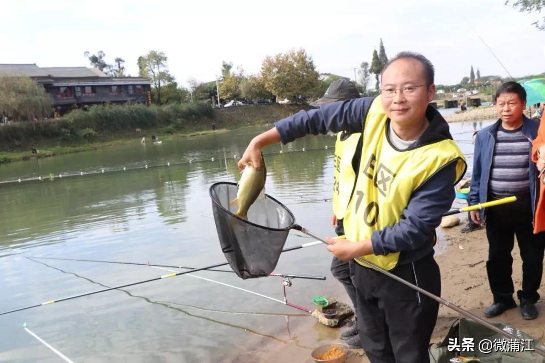 乒乓球比赛最新消息,乒乓球比赛最新消息，一场精彩绝伦的竞技盛宴