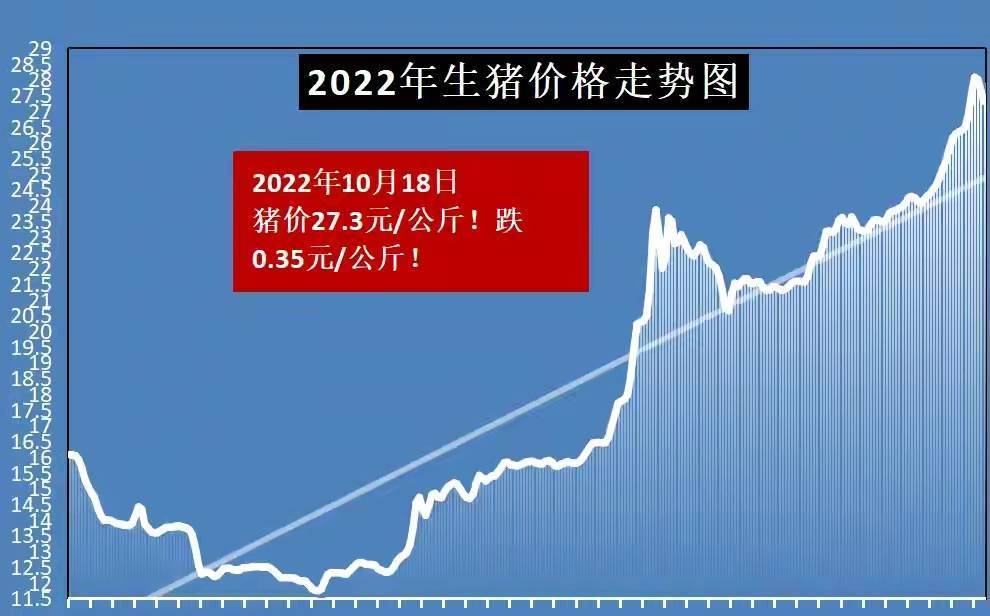 今日猪价最新走势价格,今日猪价最新走势价格分析