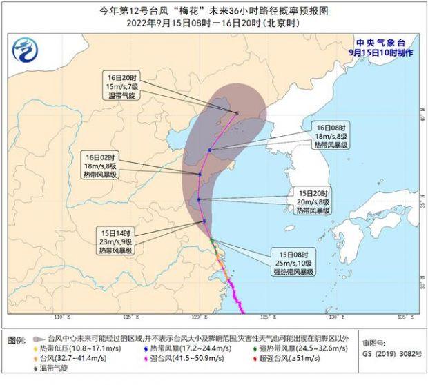 15号台风最新消息,关于台风梅花，最新消息与应对建议