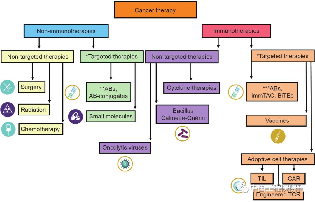 最新cart免疫治疗临床招募,最新CART免疫治疗临床招募，突破癌症治疗的新希望