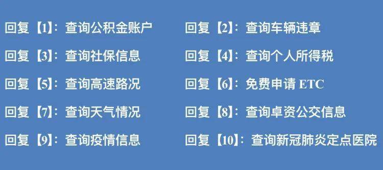 最准一肖100%最准的资料,揭秘最准一肖，探寻生肖预测的精准资料