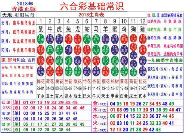 2025年1月7日 第31页