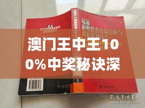 新澳门王中王王中王免费,新澳门王中王王中王免费，探索与揭秘