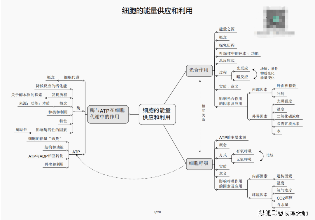 新澳门三期内必出生肖,新澳门三期内必出生肖，文化融合与生肖预测的魅力