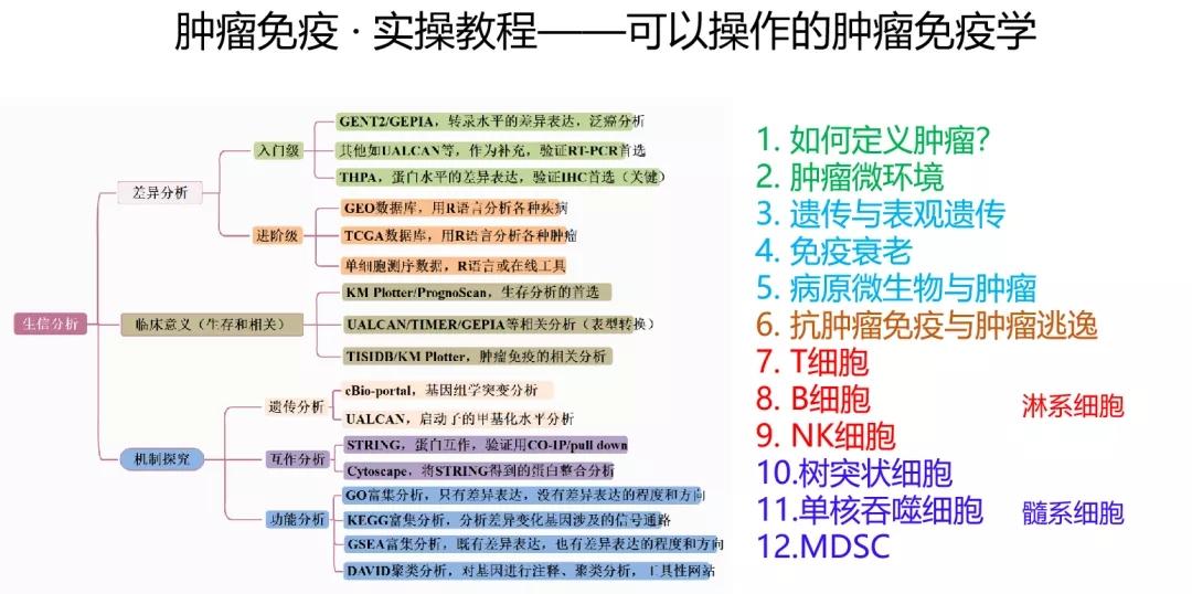 49资料免费大全2023年,探索知识的海洋，49资料免费大全2023年