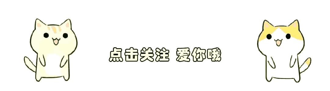 今晚9点30开什么生肖明 2024,今晚9点30开什么生肖明，探寻生肖运势与未来展望（2024年）