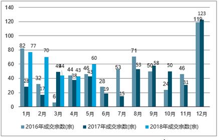 龙行虎步_1