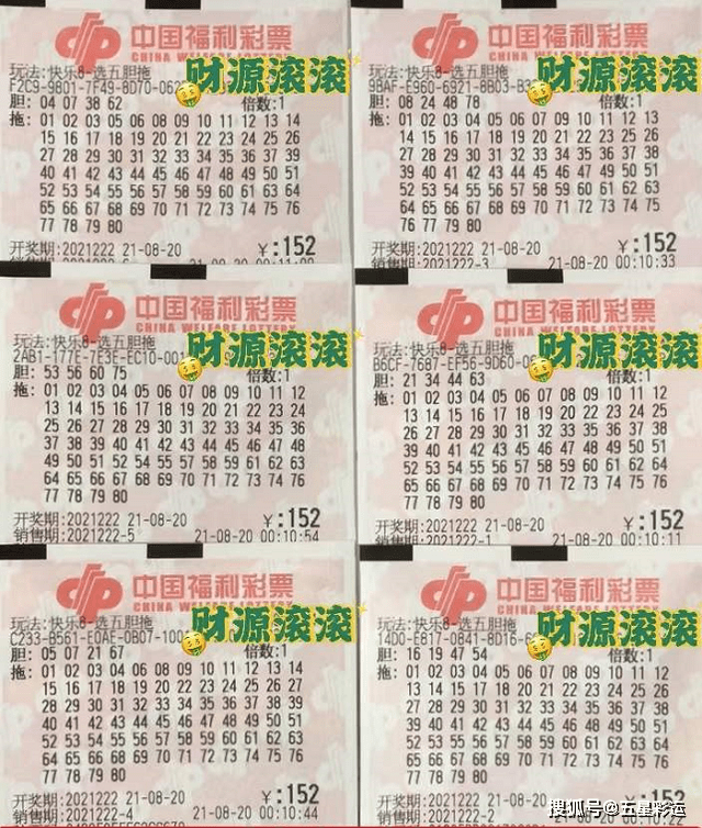 澳门今晚必开一肖,澳门今晚必开一肖，探索生肖彩票的魅力与理性参与