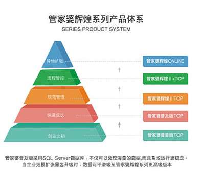 澳门管家婆,澳门管家婆，传统与现代家政服务的融合典范