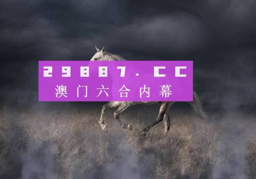 澳门4949开奖现场直播 开,澳门4949开奖现场直播，揭开神秘面纱，体验真实开奖之旅