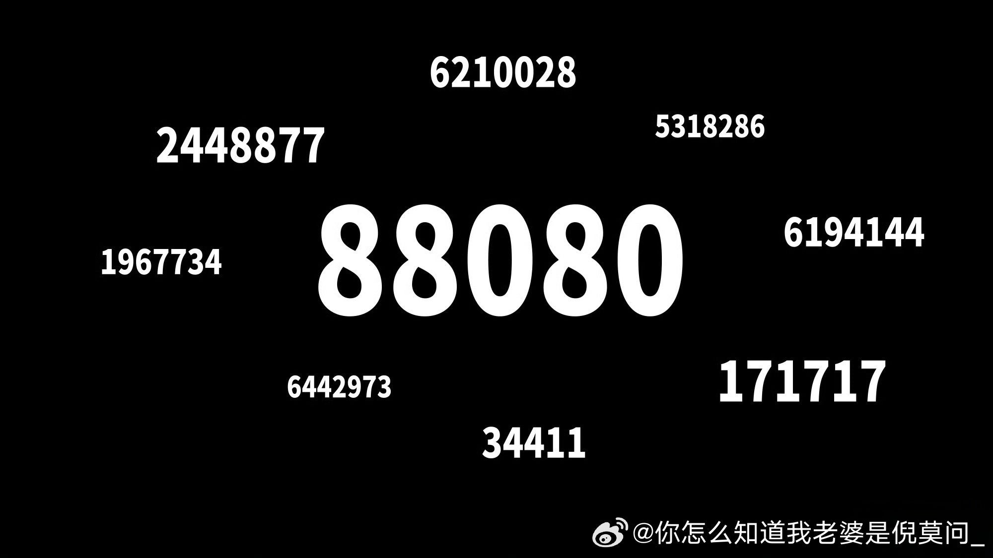 777778888精准跑狗,精准跑狗，探索数字世界中的新纪元——77777与88888的奥秘