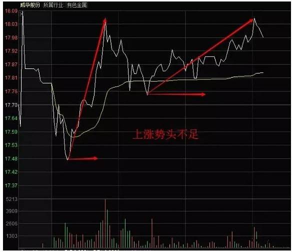 三肖三期必出特肖资料,揭秘三肖三期必出特肖资料，深度分析与预测逻辑