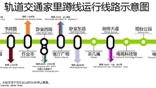 22324濠江论坛历史记录查询,探索濠江论坛的历史轨迹，22324历史记录查询解析