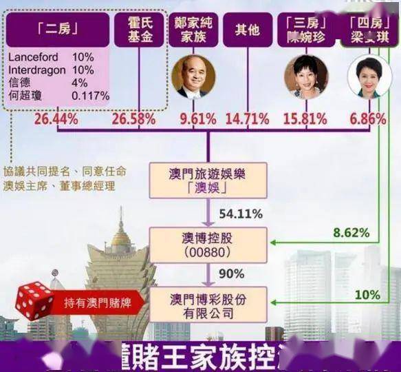 2025年澳门内部资料,澳门内部资料概览，展望2025年