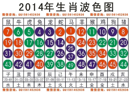 2025十二生肖49个码004期 04-49-26-19-30-44T：10,探索十二生肖与彩票密码，2025年49个码期之神秘解读