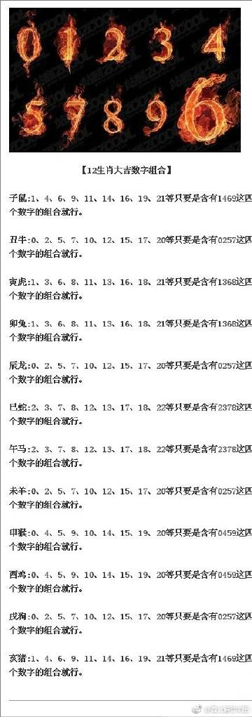 管家婆204年资料一肖098期 08-12-15-16-23-44A：41,管家婆204年资料一肖，探索神秘数字组合之旅