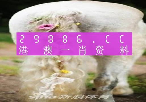 今晚一肖一码澳门一肖四不像005期 08-09-20-24-42-47M：46,今晚一肖一码澳门一肖四不像005期揭秘，探索数字背后的神秘与机遇