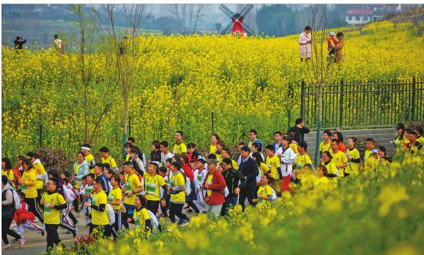 新奥内部长期精准资料102期 03-14-18-19-32-38J：04,新奥内部长期精准资料解析，第102期数字解读与策略洞察