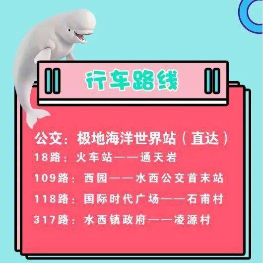 2025新澳正版挂牌之全扁125期 04-15-17-28-32-49N：43,探索新澳正版挂牌之路，全扁125期与神秘数字组合之旅