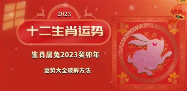 新澳2025一肖一码道玄真人001期 08-21-39-41-43-47S：31,探索新澳2025一肖一码道玄真人版——解密与解析